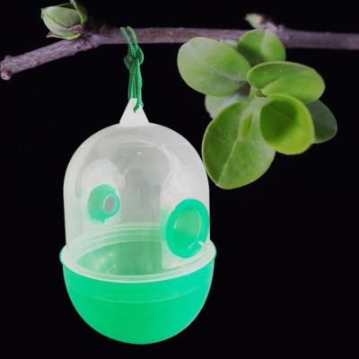 China Amazon Hot Selling Disposable Outdoor Bee Catchers Garden Wasp Plastic Green Fly Insect Hanging Sticky Trap for sale