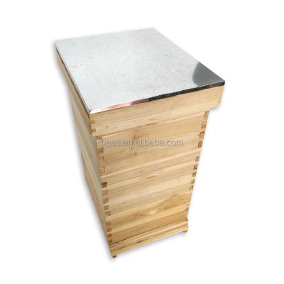 China Cultivate wholesale beekeeping langstroth 10 frame hive 2/3 layer wooden bee hive for sale