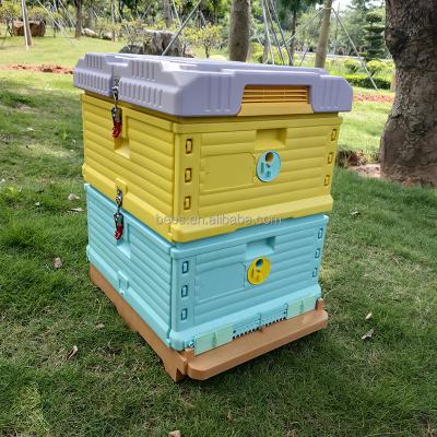 China Super Farms Plastic Material Bee Hive Langstroth Hive Color Hive for sale