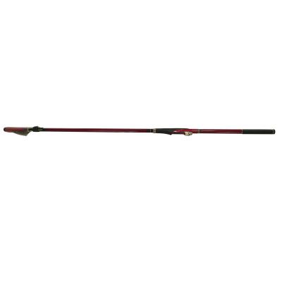 China Carbon NH Fishing 3m Surf Rod for sale