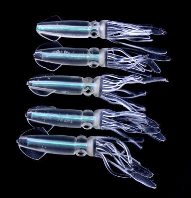 China New 10cm BURLE Sea Fish 8g Seawater Octopus Squid Skirt Translucent Luminous Casting Soft Fishing Lure for sale