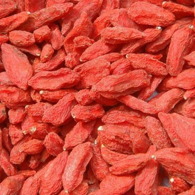 China New Corp Dried Organic Goji Berries Wolfberry Manufacturer For Wholesale for sale