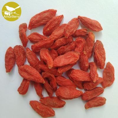 China EU standard High Quality Bulk Chinese  Wolfberry/Goji berry/red medlar From Factory for sale