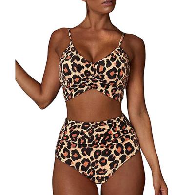 China OEM QUICK DRY 2023 Summer Deep V Two Piece Swimsuit Leopard Print Swimming Suit For Women Plus Size Swimwear for sale