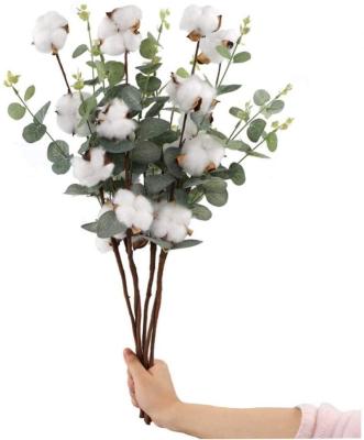 China Handmade Wholesale Fresh Flowers Freeze Dried Plants Branch Eucalyptus Cotton Branch for sale