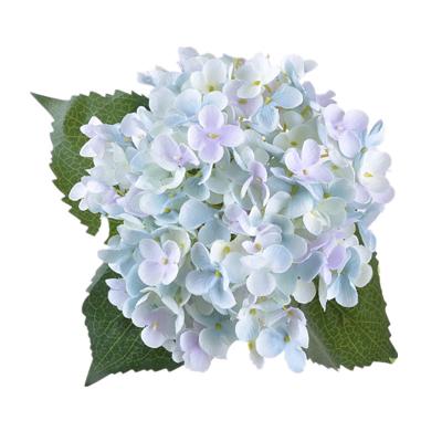 China Environmental Protection Cheap Price Artificial Flower For Wedding Decoration Easy To Clean Artificial Hydrangeaflowers 2020 For Home Decor for sale