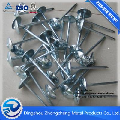 China Building Construction Guangzhou Canton Fair Common Iron Wire Nails Concrete Nails Roofing Nails Manufacturer In China for sale