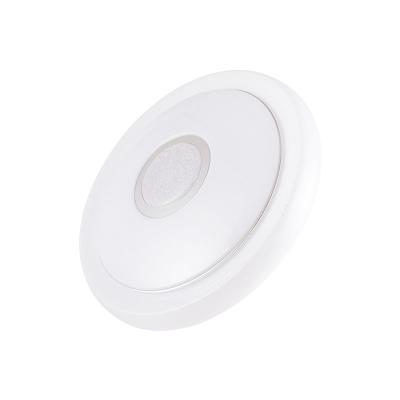 China Modern High Light Efficiency Uncelling Led Light Outdoor Circular Mounted Circular Ceiling Led Lights Work With Ewelink App And Alexa Google Home for sale