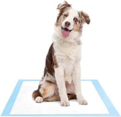 China Amazon Stocked Top Selling Custom Hot Selling Disposable Dog Training Pads Apply All Blue Pets Pet Training Pads for sale