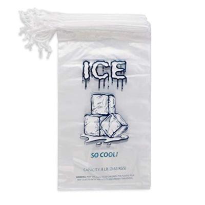 China 10bl Recyclable Custom Hot Sale Custom Reusable Logo Printing PE Ice Cream Plastic Packing Bag With Drawstring for sale