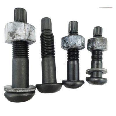 China China Factory Hardware Fastener Anti-Corrosion Steel Round Shear Bolt Steel Structure Torsion Bolt for sale