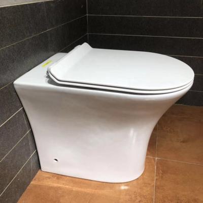 China Contemporary Ceramic Double-Flux One-Piece Wall-Hung Floor-Mounted Toilet With Rimless Toilet Bowl for sale