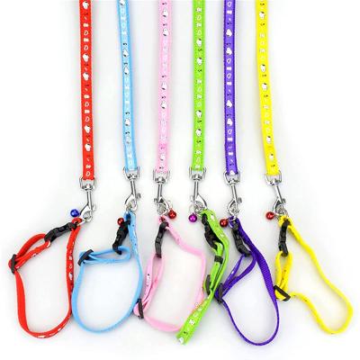 China Padded Adjustable Pet Collar with Leash Advance Durable Training Puppy Cat Kitten Dog Collar and Leash Set with Quick Release Clip Buckle for sale