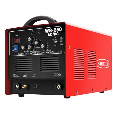 China 220v WSE-250 Professional DC Cat Inverter AC Inverter Welder Digital Multifuction AC DC Welder AC Aluminum Welding Machine for sale