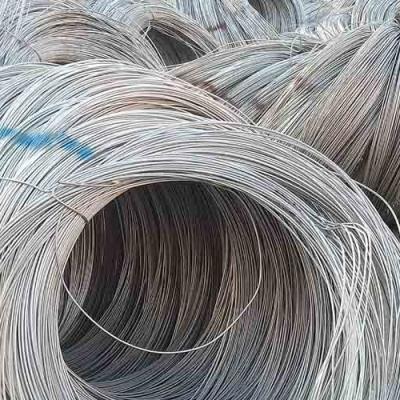 China Hoher Federstahl-Draht Ss304 Rod Carbons 1mm galvanisierte zu verkaufen