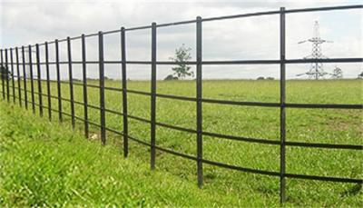 China Traditional Security Steel Palisade Fencing Simple Structure Low Maintenance for sale