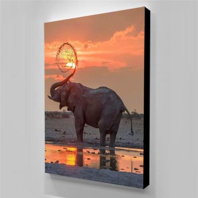 China Waterproof Decorative Poster Pictures Elephant Wall Paintings Printing Canvas Animal Art Decor for sale