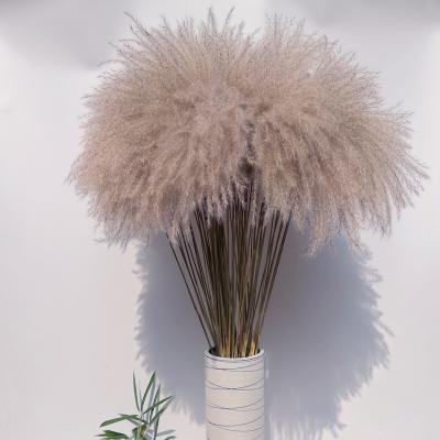 China PVC flowers&pampas grass natural wedding flowers for sale