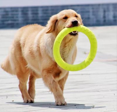 China Sustainable Flying Ring Dog Toy Seeking Teething Pet Training Toy for sale