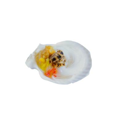 China Frozen Food Primary Color Guaranteed Unique Quality Scallops Frozen Shellfish Oyester for sale