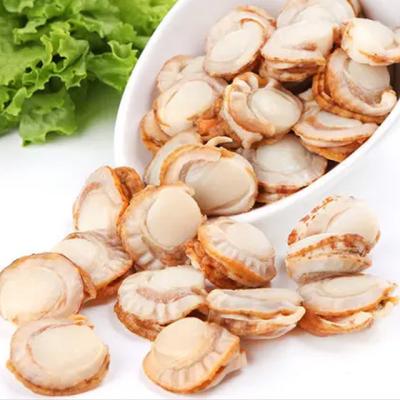 China Healthy and trophic scallops of deep sea nutritionally frozen food for sale