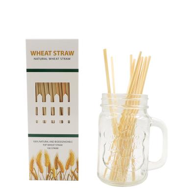 China 2020 Leatchliving Amazon Disposable Wholesale 10cm Accept Customization Natural Wheat Straw Non Plastic Drinking Straws for sale