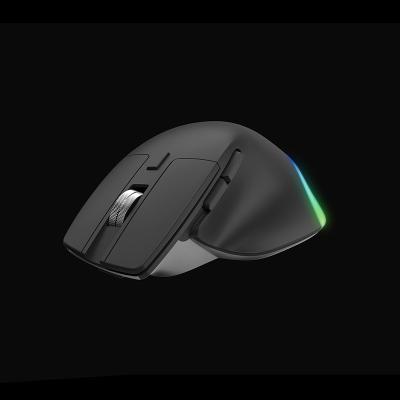 China 2022 Hot Sale 3D Optical-mouse RGB Ergonomic Rechargeable Gaming Mice Wireless Mouse With Forward/Backward Page Direct Keys for sale