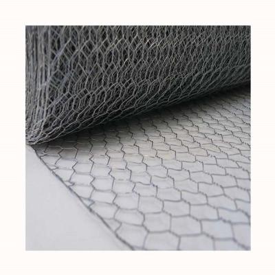 China Plain Weave 2021 New Custom Hex Hole Size Stainless Steel Wire Netting Chicken Mesh For And Craft Items for sale