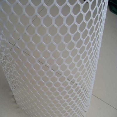 China Protect plastic single mesh for multiplication for sale