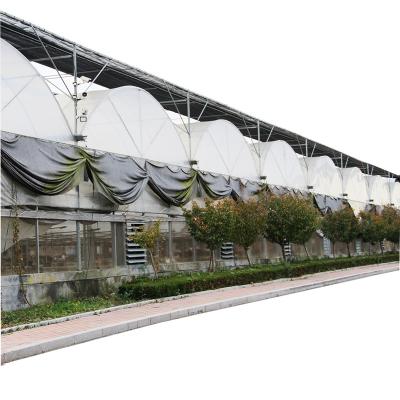 China Stable Structure Easily Assembled Harvest Vale PE/PO Plastic Sheet Multi-span Commercial Greenhouse Greenhouse Cost Flowers And Vegetable Greenhouse Low Price for sale