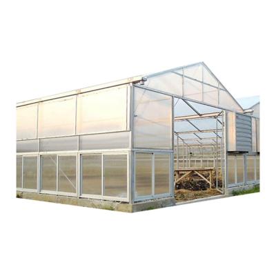 China Polycarbonate Greenhouse Good Prices Multi Span PCB Polycarbonate Greenhouse For Agriculture Farm for sale