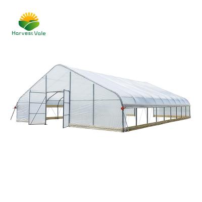 China Vegetable Growing Greenhouses With Plastic Covers Commercial Greenhouse Cost Relatively Low for sale