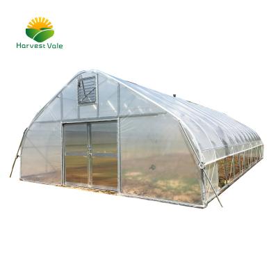 China Vegetable Growing Medicinal Plant Cultivation Leaves Plastic UV Greenhouse for sale