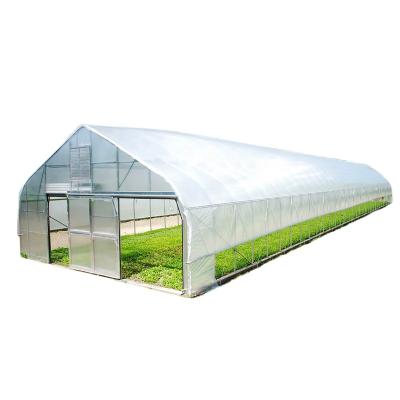 China Harvest Vale Tunnel Greenhouse PE/PO Film Greenhouse Planting Medicinal Plant Fruits/Tomato Flowers Medicinal Plant and Vegetable Galvanized Steel Pipe Structure for sale