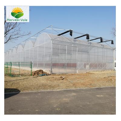 China Low cost of growing vegetables and easy installation of gutter connected poly greenhouses for sale