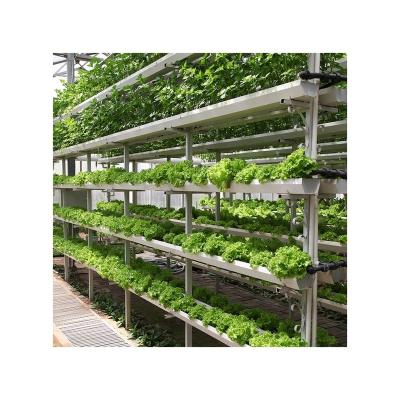 China Polycarbonate Greenhouse Factory Hot Sale High Yields Indoor Hydroponic Greenhouse For Fruit for sale