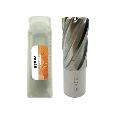 China Metal Hole Cutter Weldon Leg 20mm HSS Annular Cutter Magnetic Spindle Core Drill Bit For Metal Cutting for sale