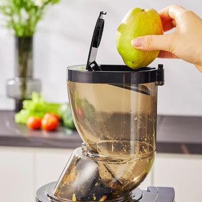 China 250W Car Low Noise Hot Sale Household Fruit Squeezer High Quality Multifunctional Slow Chewing Slow Sensitive Smooth Juicer for sale