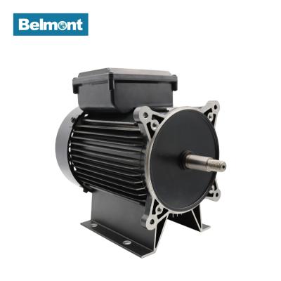 China BAM110 S-T Cheap Single Phase Totally Enclosed Asynchronous Electric 230v AC Motor For Swimming Pool for sale