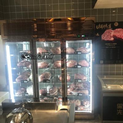 China Single-Temperature Angus Beef Steak Dry Aging Meat Dry Ager Processing Display Fridge for sale