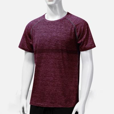 China Men's Moisture Wicking Activewear Performance T-shirt Gym Sports Sports Tops Workout Fitness T-shirt for sale