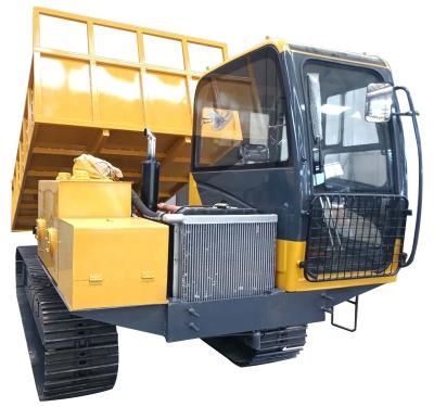 China China Factory Price 10 Ton 20 Ton 30 Ton Steel Track Crawler Dumper Truck > 8L for sale