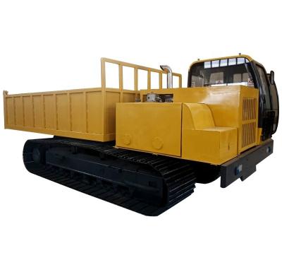 China Leather Track Steel Frame Hydraulic Motor 10 Ton 20 Ton 30 Ton Crawler Dumper Truck for sale