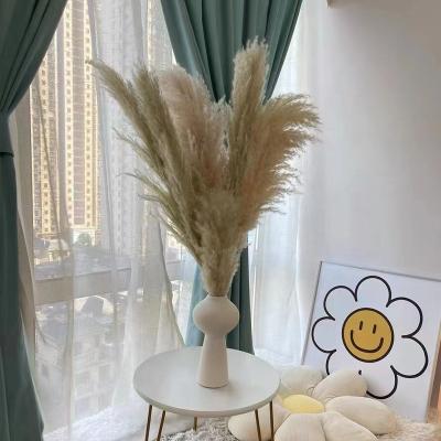 China Reed Large Pampas Grass Hot Dry Natural Wholesale Natural Selling For Large Weddings Home Decoration Flowers for sale