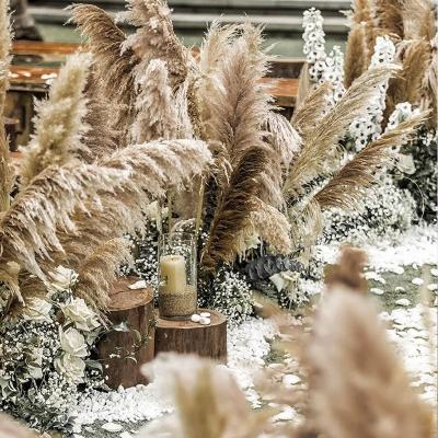 China Large Natural Plume Plume Decor Natural Preserved Dry Pampas Grass Boho Wedding Decor Real Dry Pampas Grass Flower For Amazon for sale