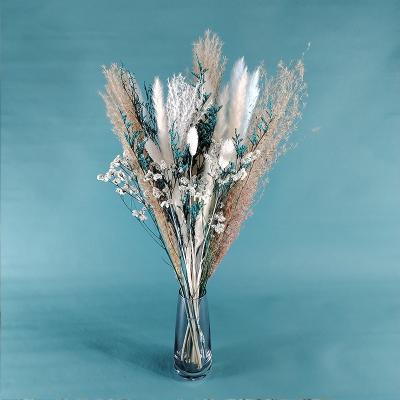 China Natural Dried Flower Bouquet Dried Pampas Reed Grass Bouquet Dried Flower Pampas Grass Decor Bouquet for sale