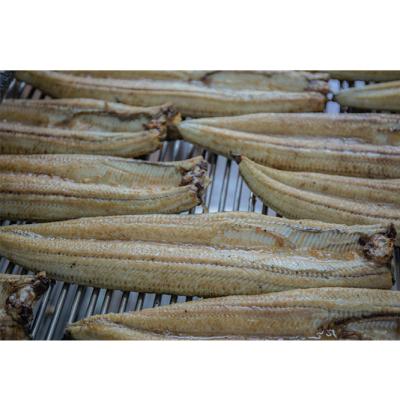 China High End Nutritious Food Delicious Vitamins Whole Unagi Frozen Kabayaki Shirayaki for sale