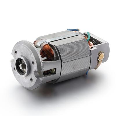 Chine Moteur universel synchrone à courant alternatif à puissance nominale de 40 watts pour moteur électrique à phase unique de 110 v 220 v à vendre