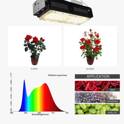 Cina 50w Full Spectrum LED Plant Grow Light 4000k For Indoor Plants in vendita