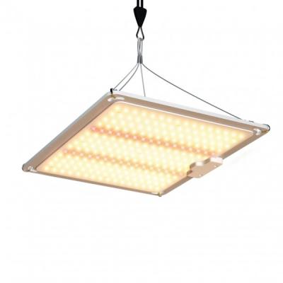 Cina GL-24 100w plant lamp in vendita